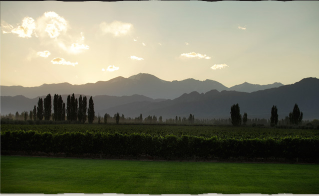 Mendoza Wine Tourism and Travel